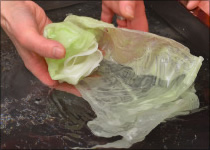 How to make lettuce4-1
